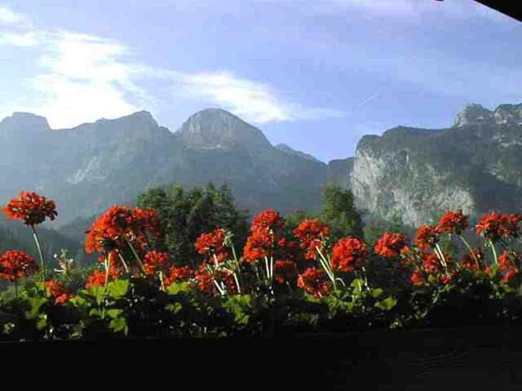Schörghof Abtenau Exteriör bild